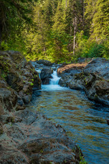 Obraz premium Stream flows over waterfalls and through the sunlit forest of Olympic National Park