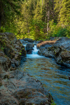 Stream flows over waterfalls and through the sunlit forest of Olympic National Park