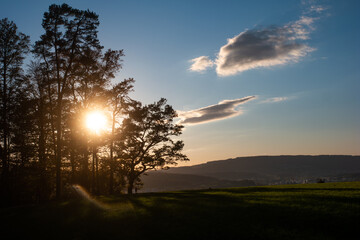 Sunset landscape in the Swiss hills near Zurich. Sun is setting behind trees, small white clouds on blue sky, early evening. No people