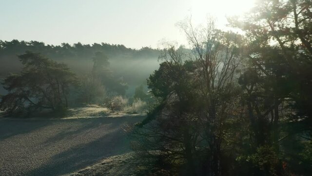 People Walking At Soester Duinen Nature Reserve On A Sunny Day In Netherlands. wide shot