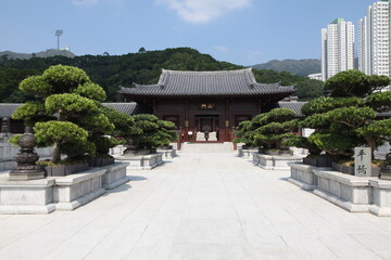 Bonsai garden in Chi Lin Nunner in Hong Kong