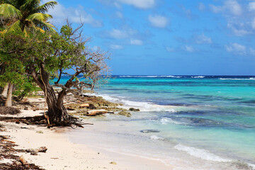Amazing wild beach in the Caribbean island of Guadeloupe, French territory in the West Indies