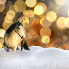 Weihnachten - Pferd im Schnee vor goldenem Hintergrund