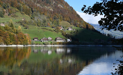 Fototapeta premium lungern en automne