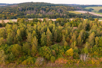 Fototapeta na wymiar Bird's-eye view of autumnal discolored deciduous trees in the Taunus / Germany 