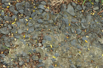 texture