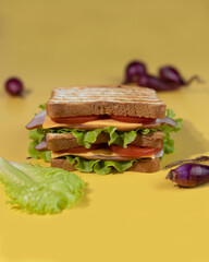 Traditional sandwich made from slices of toasted bread, cheese, ham, fresh lettuce. Celebrating National Sandwich Day.