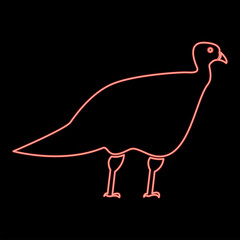 Neon turkeycock red color vector illustration flat style image