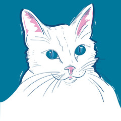 Cute white cat drawn vector illustration
