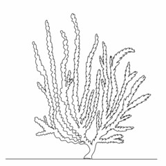 algae drawing one continuous line vector
