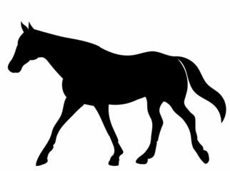 black silhouette horse running vector, isolated