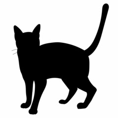 black silhouette cat vector, isolated