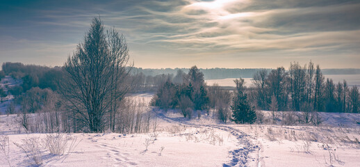 Frozen tree branches in a purple morning sky background, extremely cold environment. Winter view, frosty, cold, icy landscape