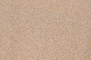 Sand texture background. Summer vacation concept. Beautiful beach. Natural landscape.