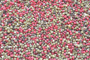 Four types of pepper grains - white, green, red and black - as background close up