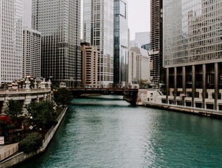 Fototapeta premium Chicago, Illinois