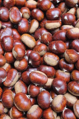 Detail of pile of chestnuts (Castanea sativa), in the foreground.