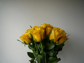 Bouquet of yellow roses no thorns