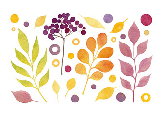 Watercolor green, orange, purple leaves and berries. Fall season collection. Hand-drawn autumn set isolated on a white background. Cute botanical clip art