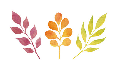 Set of red, orange and green leaves isolated on a white background. Autumn collection. Watercolor illustration
