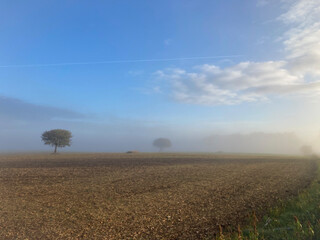 rural landscape with plowed fields with mist and blue sky with clouds and trees
