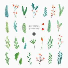 Christmas greenery set with fir tree leaves, branches, mistletoe leaves. Hand drawn winter botanical illustration for greeting cards, invitations.