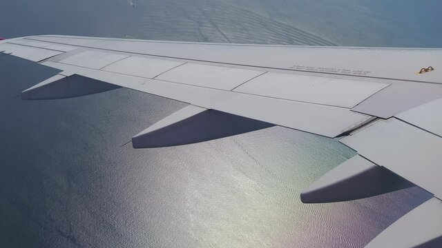飛行機の翼 フライトイメージ