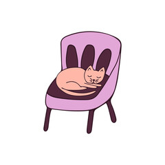 Cute cat lies curled up on an armchair and sleeps. Colorful hand drawn isolated illustration vector. Cozy home