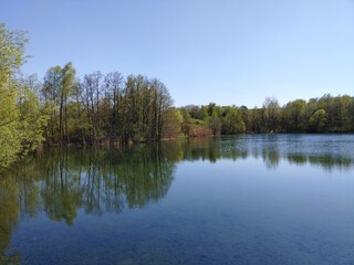 Fototapeta na wymiar Small lake in natural protection habitat under a clear spring sky, Göcklingen, Rhineland Palatinate, Germany 