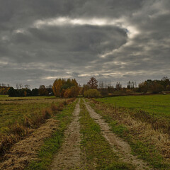 Fototapeta na wymiar A dirt road in the autumn morning.