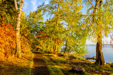 Autumn forest on the lake shore in the morning.