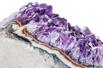 Amethyst Crystal Druse  macro mineral on white background