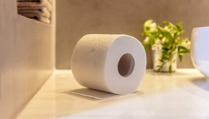 Toilet paper roll on a bathroom table closeup view. Modern restroom interior detail