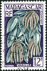 MALAGASY REPUBLIC - 1957: shows Vanilla pod, 1957
