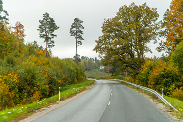 country road in autumn