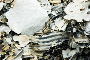 Popiół spalonego kartonu.