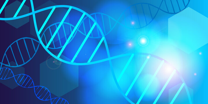 DNA and genetics abstract illustration - Blue design banner