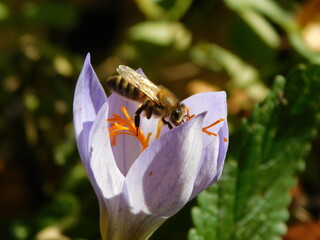Bugs make pics wonderful