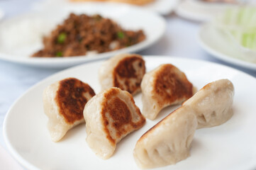 pot stickers dumplings
