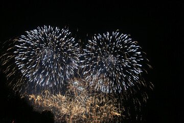 A view of a Fireworks demonstration at Battersea Park