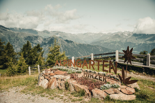 Hirzer in S&uuml;dtirol