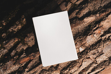 White cards in the autumn forest, near leaves and grass