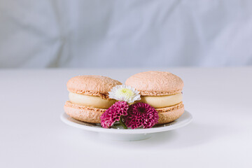 set of french maracoons on white background