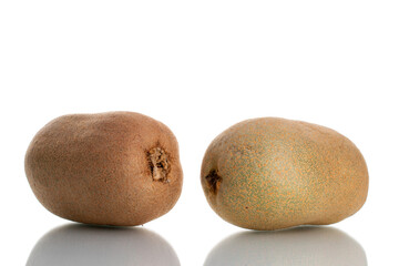 Two juicy organic kiwi fruits, close-up, isolated on white.