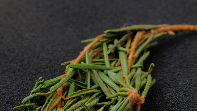 Sagan daila branch tea leaves close-up in a black table. Bagulnik Shaman tea, medicinal herbs. Dolly shot. Macro. 