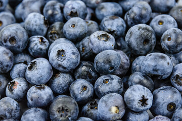 Background of the many blueberries. Healthy eating concept
