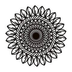 Set of sunflowers in the doodle style. Flowers are suitable for the design of farmhouses,