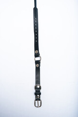 dog collars photographed on a white background