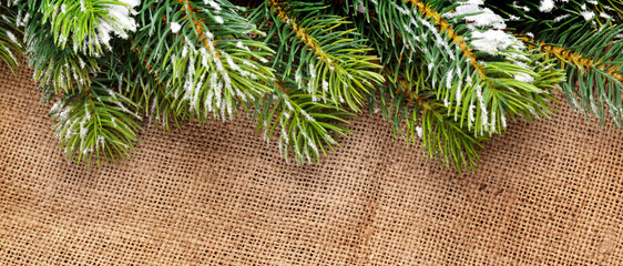 Christmas snow fir tree over burlap texture