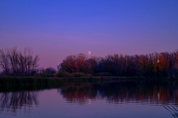 sunrise over the lake